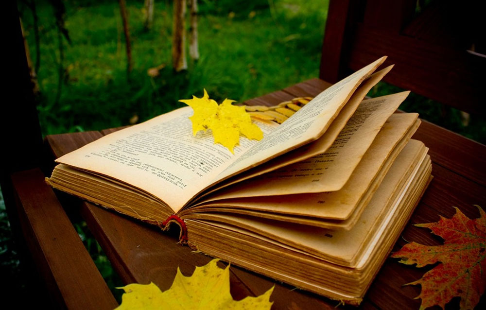 Kitap — egsilmeýän ruhy hazyna